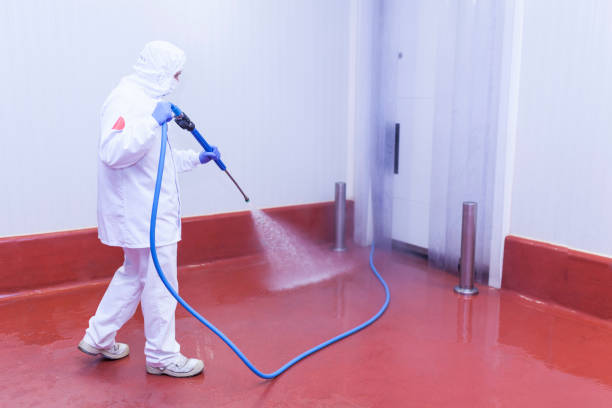Professional Pressure Washing Services in Allendale, CA